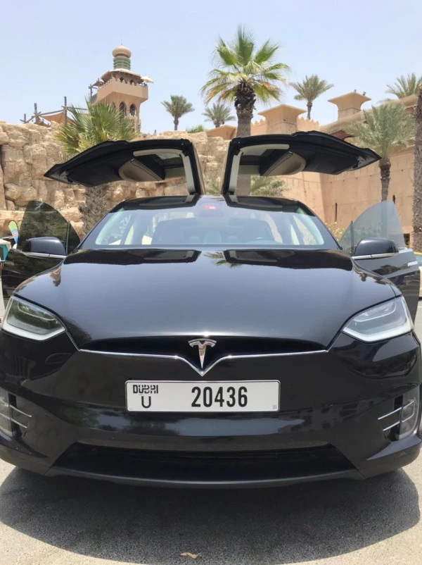  Черный Tesla Model X Photo 3