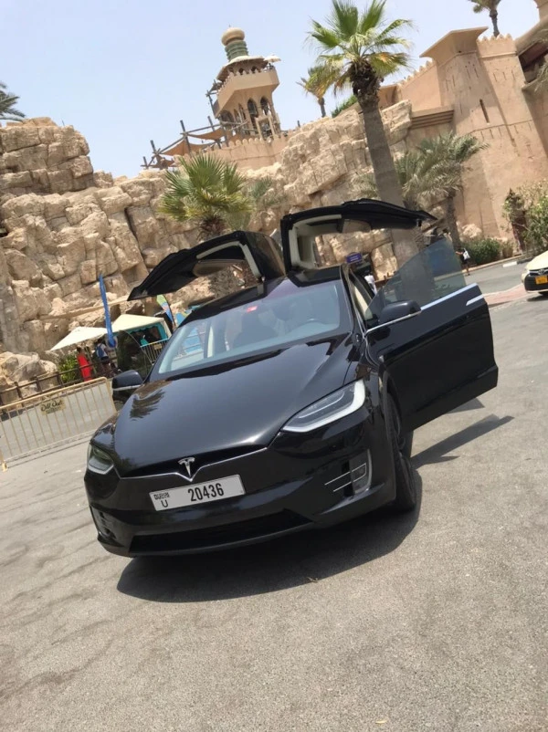  Черный Tesla Model X Photo 5