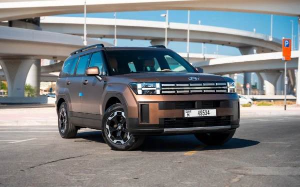  Коричневый Hyundai Santa Fe Photo 2