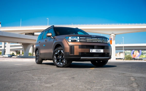  Коричневый Hyundai Santa Fe Photo 3