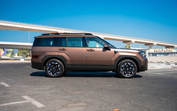  Коричневый Hyundai Santa Fe Photo 4