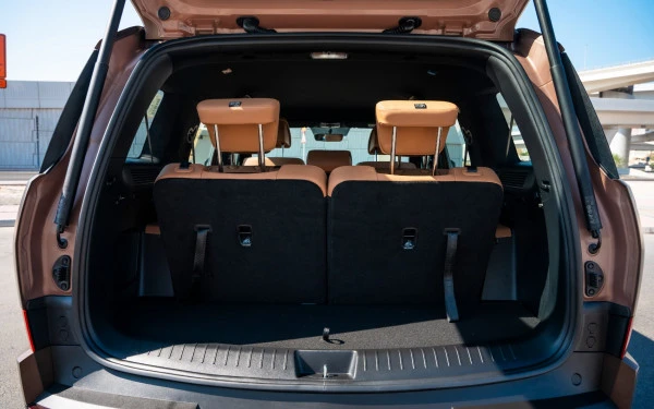  Коричневый Hyundai Santa Fe Photo 6