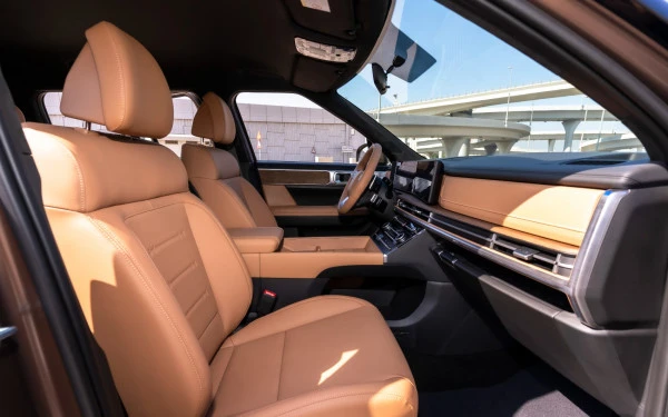  Коричневый Hyundai Santa Fe Photo 8