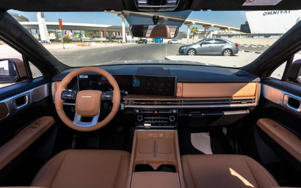  Коричневый Hyundai Santa Fe Photo 10