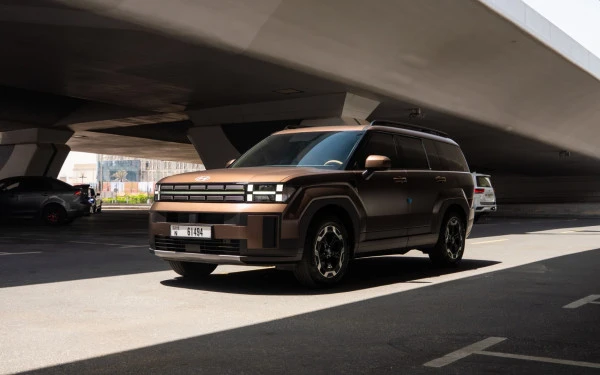  Коричневый Hyundai Santa Fe Photo 4