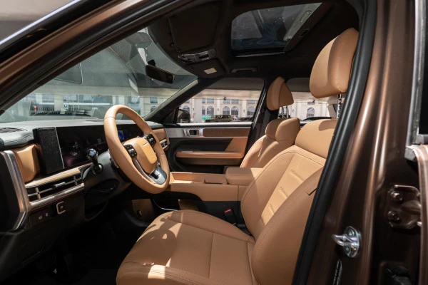  Коричневый Hyundai Santa Fe Photo 6