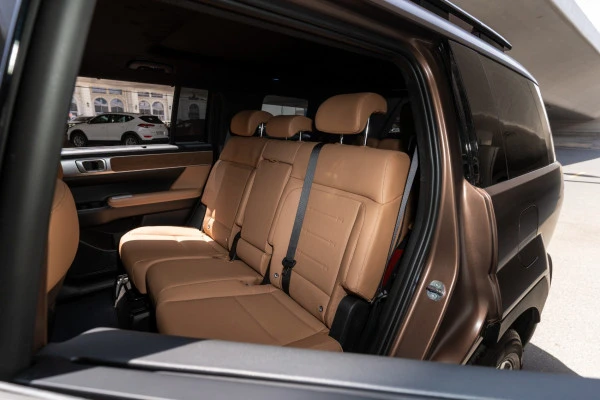  Коричневый Hyundai Santa Fe Photo 8