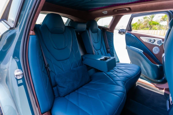  Green BMW XM Photo 7