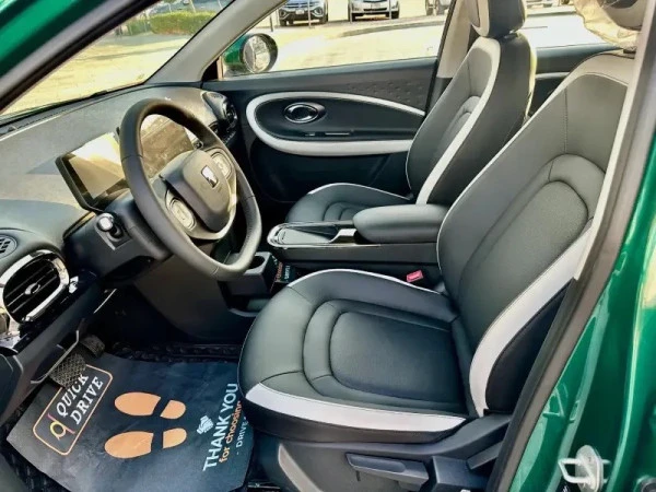  Зеленый JAC E30X Photo 2