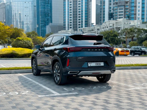  Серый Exeed LX Photo 6