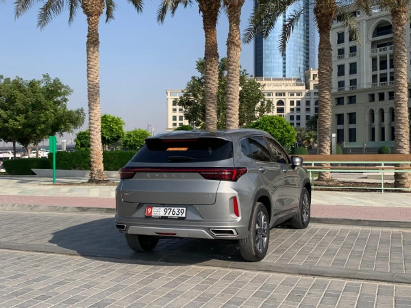  Серый Exeed LX Photo 4