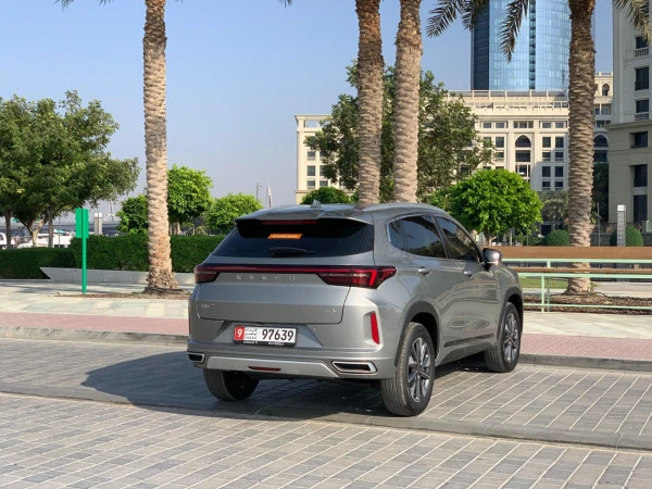  Серый Exeed LX Photo 9