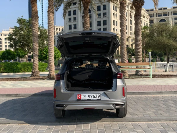  Серый Exeed LX Photo 10