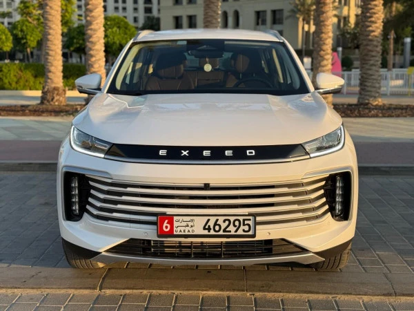  Grey Exeed TXL Photo 2