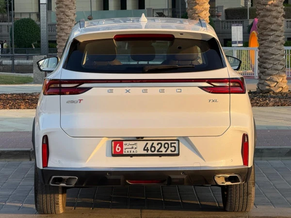  Grey Exeed TXL Photo 4