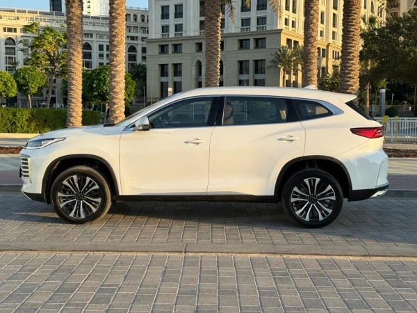  Серый Exeed TXL Photo 3