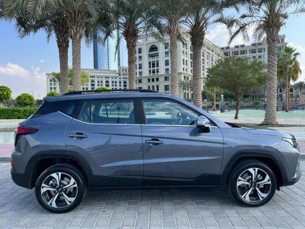  Серый Jac S4 Photo 5