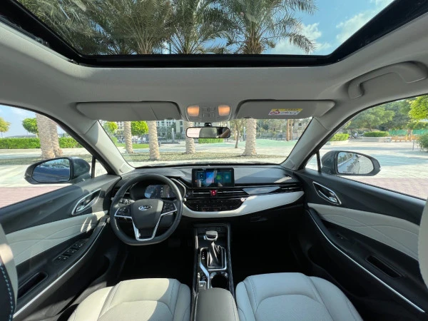  Серый Jac S4 Photo 2