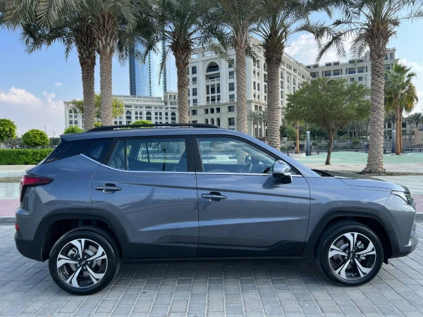  Серый Jac S4 Photo 5