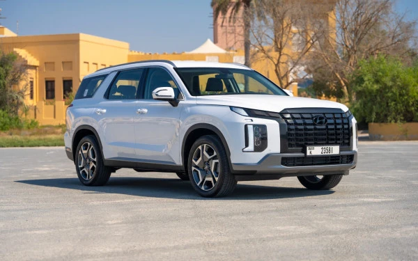  Белый Hyundai Palisade Photo 3