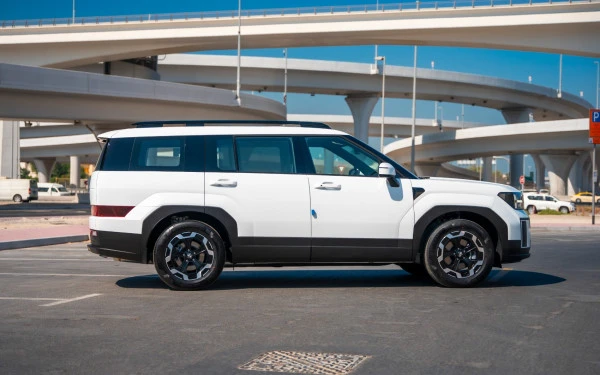  Белый Hyundai Santa Fe Photo 3