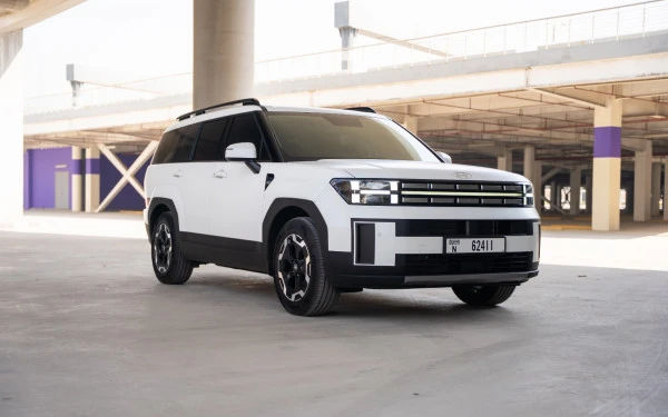  Белый Hyundai Santa Fe Photo 2