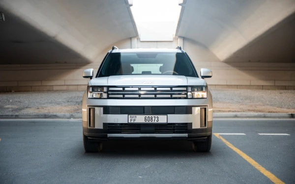  Белый Hyundai Santa Fe Photo 8