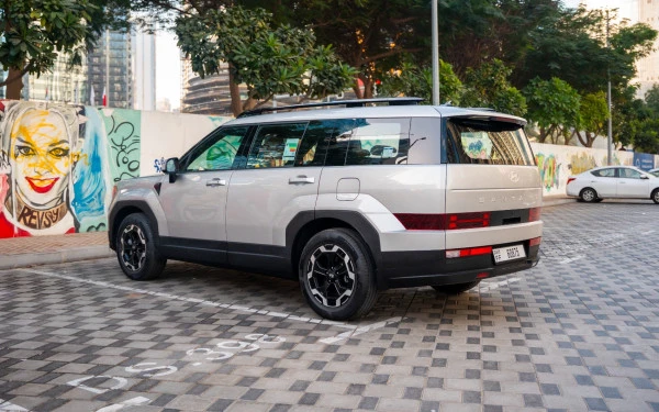  Белый Hyundai Santa Fe Photo 8