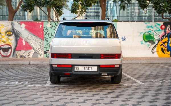  Белый Hyundai Santa Fe Photo 9