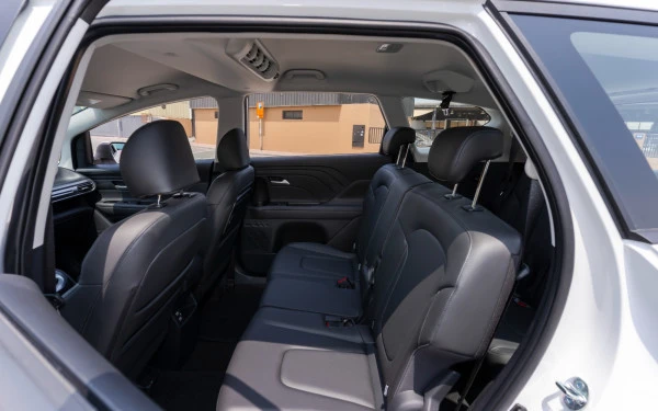  Белый Hyundai Stargazer Photo 9