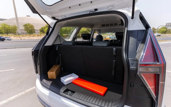  Белый Hyundai Stargazer Photo 13