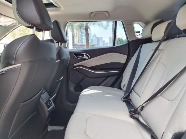  White JAC JS4 Photo 7