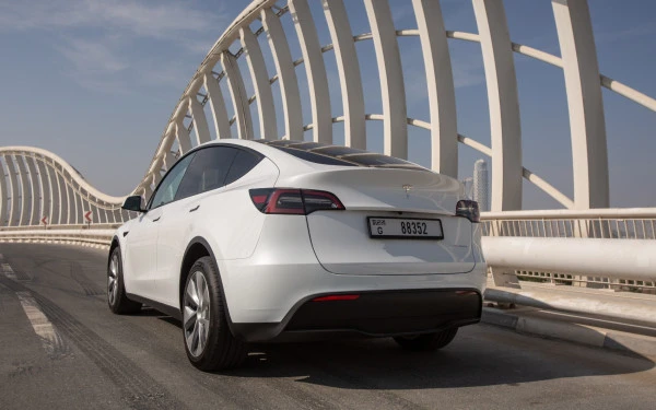  Белый Tesla Model Y Long Range Photo 3
