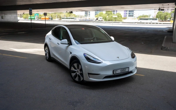  Белый Tesla Model Y Long Range Photo 3
