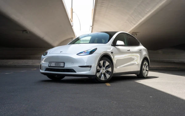  Белый Tesla Model Y Long Range Photo 10